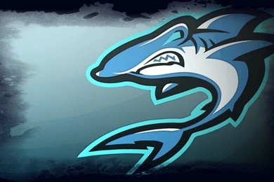 Shark Wallpapers By Kaito42 On DeviantArt