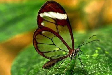 Hd Wallpapers 1080p Archives   Free Desktop Wallpapers, Wallpapers ...