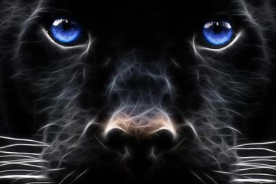 Laptop Wallpapers 7   Best Wallpapers Collection