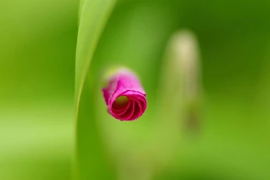 Desktop Wallpapers · Gallery · HD Notebook · Laptop Backgrounds ...