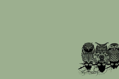 Owl Wallpapers For Computer