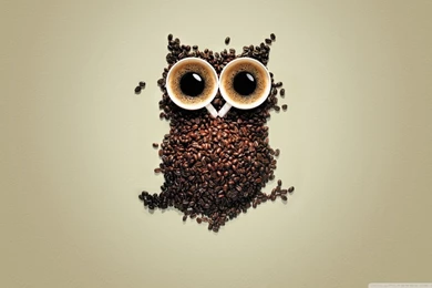 Owl HD Desktop Wallpapers : High Definition : Fullscreen : Mobile