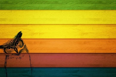 Owl Drawn On Wood Panels Wallpapers   Digital Art Wallpapers