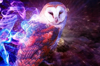 Owl Wallpapers   Digital Art Wallpapers