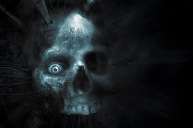 Skulls Desktop Wallpapers Page