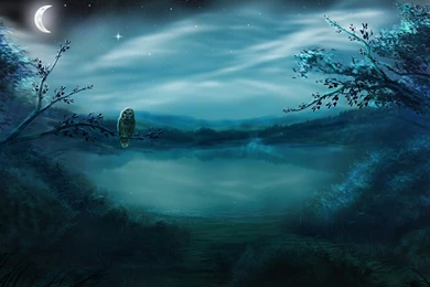 Owl On A Branch By The Lake Desktop Wallpapers 18237