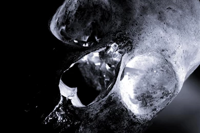 Free Desktop Wallpaper, Negative Picture Of An Old Skull.