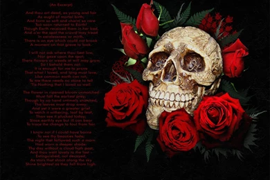 Skull And Roses Wallpapers   208154