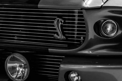 Download Wallpapers 750x1334 Shelby, Gt500, Eleanor, Ford Mustang ...