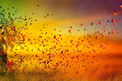 Wallpapers Full Hd 1920 1080 Widescreen Awesome Hi Quality