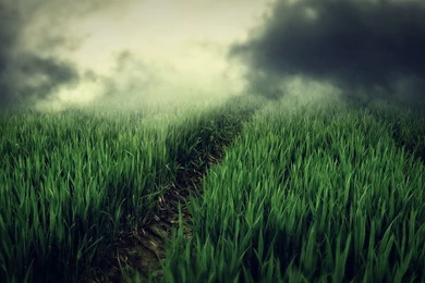 Wallpapers: Full HD ~ Random Wallpapers (35881585) Fanpop