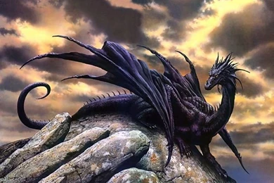1589 Dragon HD Wallpapers