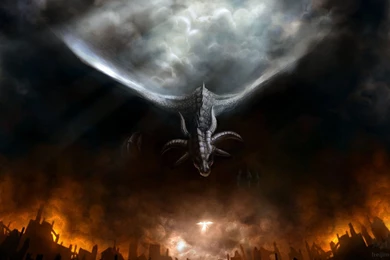 Black Dragon Wallpapers