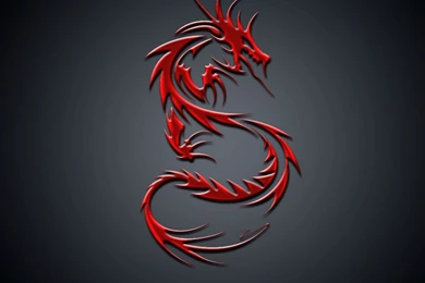 Wallpapers: Dragon Wallpapers