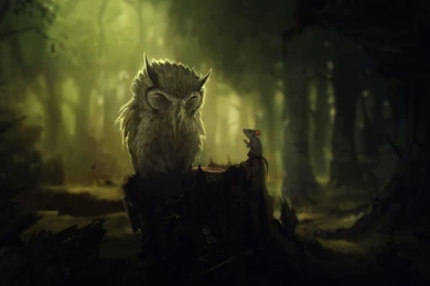 Owl Computer Wallpapers, Desktop Backgrounds