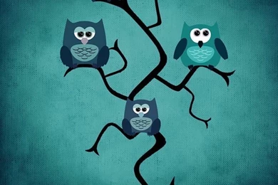 Owl, Backgrounds, Textures Free Images On Pixabay