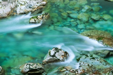 Free Wallpapers Hd_hd Wallpaper_download Free Wallpapers