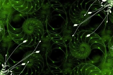 Desktop Backgrounds Computers Laptops Netbook Vector