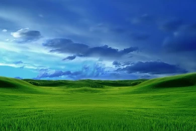 Desktop Wallpapers · Gallery · HD Notebook · Grassy Laptop ...