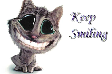 Funny Wallpapers Download 4   High Definition : Widescreen Wallpapers