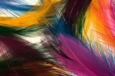 Colorful Wallpapers Full HD