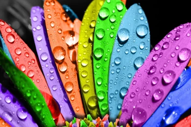 Colorful Wallpapers HD Pictures STAY006