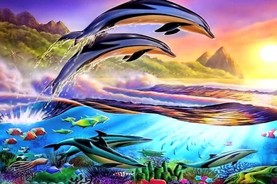 Dolphin Wallpapers HD Resolution