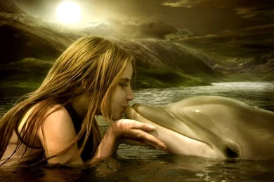 Dolphin Desktop Wallpapers