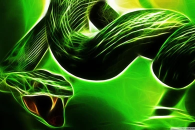 Snake Wallpapers