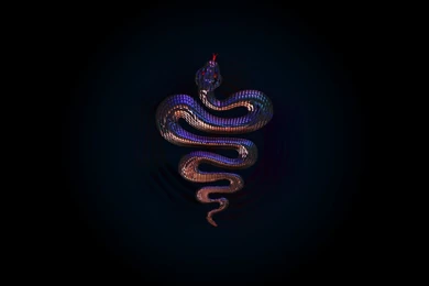 Snake Wallpapers Cool 207 HD