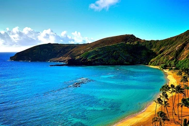 Hawaii Tourismus   Wallpapers Download Kostenlos   2.