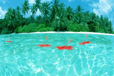 HAWAII BEACH HIGH RESOLUTION WALLPAPERS IO