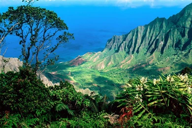 Hawaii Wallpapers HD