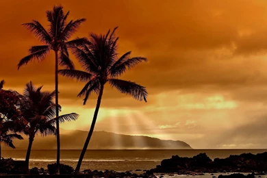 Hawaii 1080p background_1.jpg