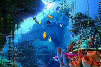 Underwater Wallpapers