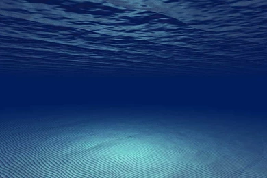 Underwater Wallpaper Images 126 Backgrounds