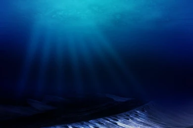 Underwater Wallpapers