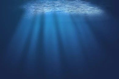 Underwater Wallpapers HD 130 Awesome