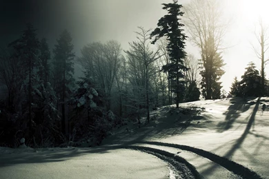 Snow Dark, 1920x1200 HD Wallpapers And FREE Stock Photo