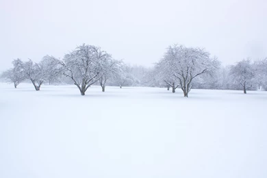Snow Trekking HD Landscape Desktop Wallpapers
