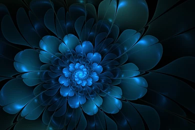 Blue Flower Dark Background Creative