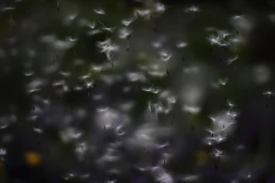 Cool Dark Backgrounds Hd   Wall Pedes