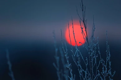 Red Spot On A Dark Backgrounds Wallpapers And Images Wallpapers ...