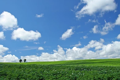 Download Wallpapers 3840x2400 Field, Economy, Hay, Bales, Trees ...