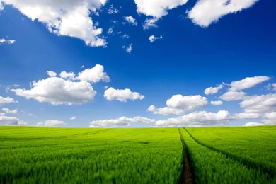 Blue sky with clouds grassphotorealistic windows backgrounds ...