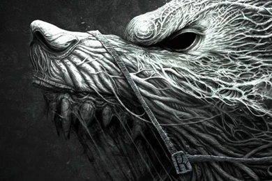 iPhone 6 Wolf Wallpapers HD, Desktop Backgrounds 750x1334