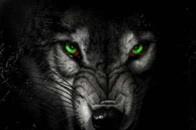 Angry Wolf iPhone 5 Wallpapers (640x1136)