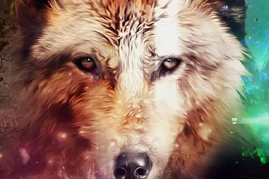 Wolf Free Iphone Wallpapers