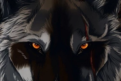 Black+Wolf+3D+Wallpaper+for+iPhone+4.jpg