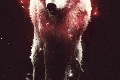 Free IOS 7 Wallpapers   Art